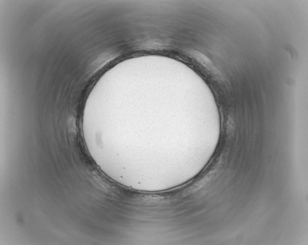 X0000115261209200911271919