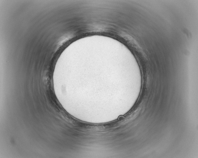 X0000115261210200911271919