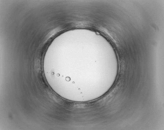 X0000115261211200911271919