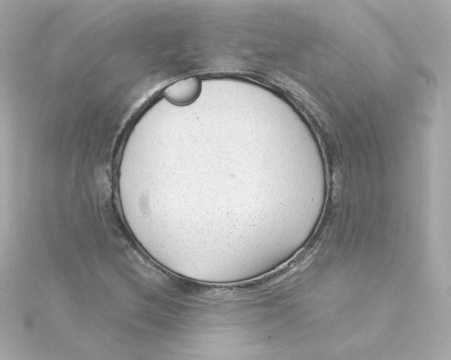 X0000115261212200911271919