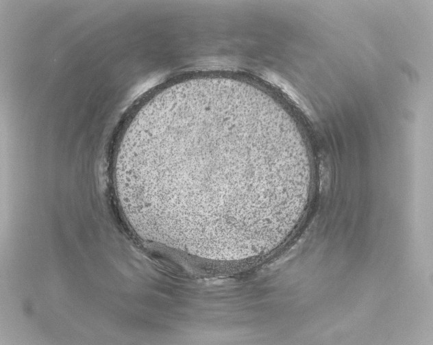 X0000115261213200911271919