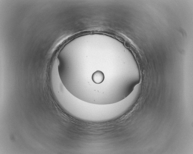 X0000115261215200911271919