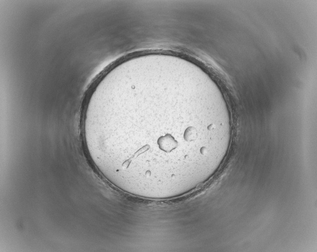 X0000115261216200911271919