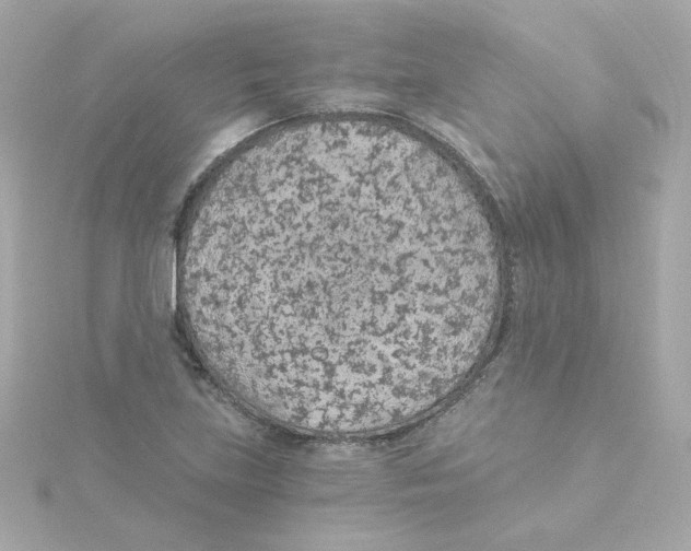 X0000115261219200911271919