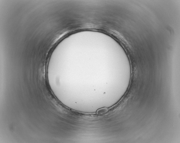 X0000115261220200911271919