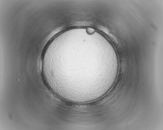 X0000115261221200911271919