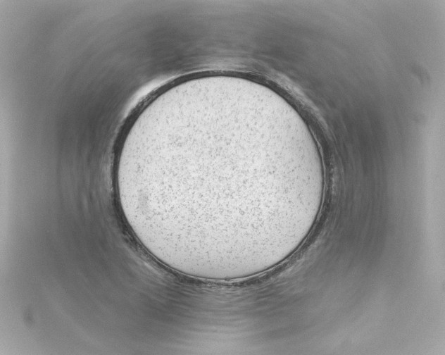 X0000115261222200911271919