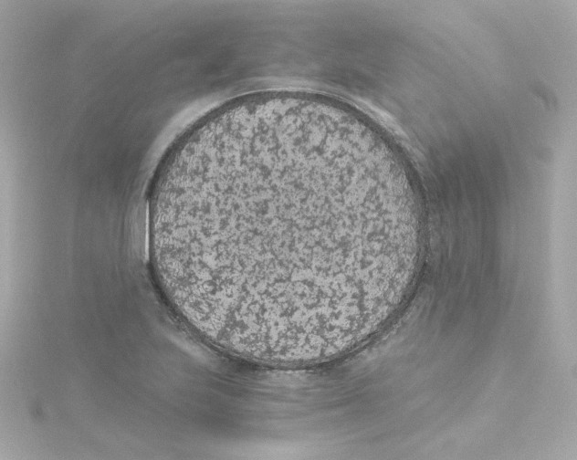 X0000115261223200911271919