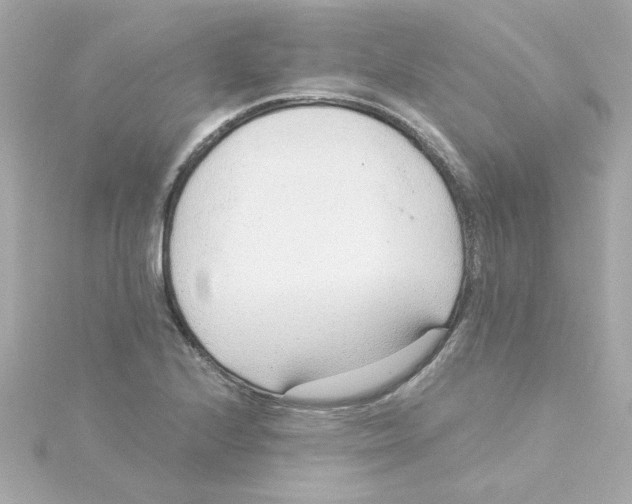 X0000115261224200911271919