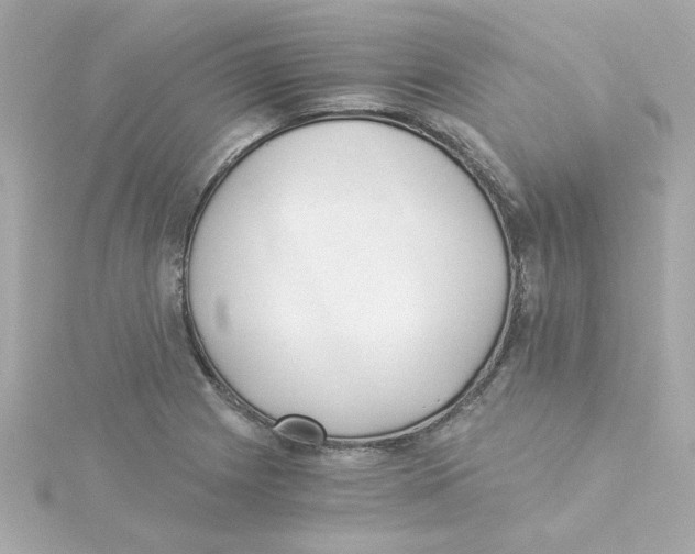 X0000115261225200911271919