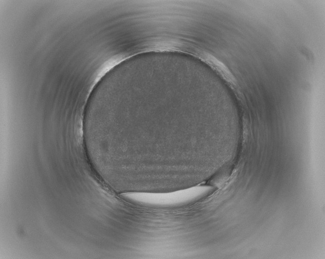 X0000115261226200911271919