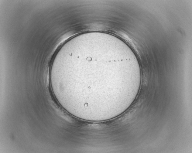 X0000115261227200911271919