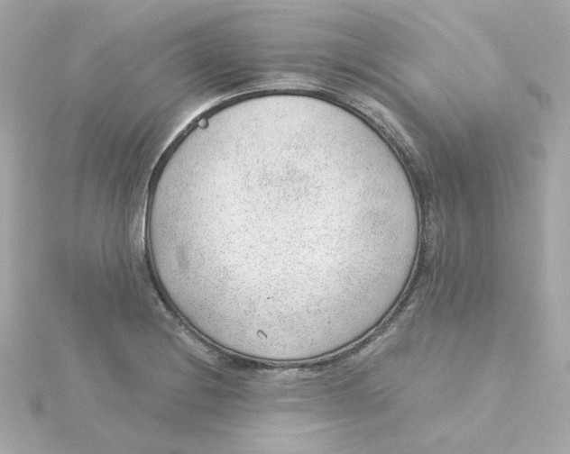 X0000115261228200911271919