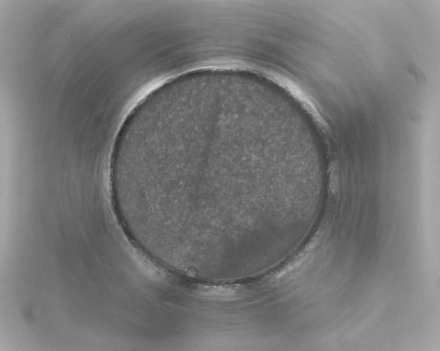 X0000115261229200911271919