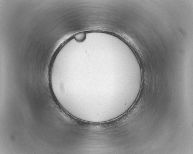 X0000115261230200911271919