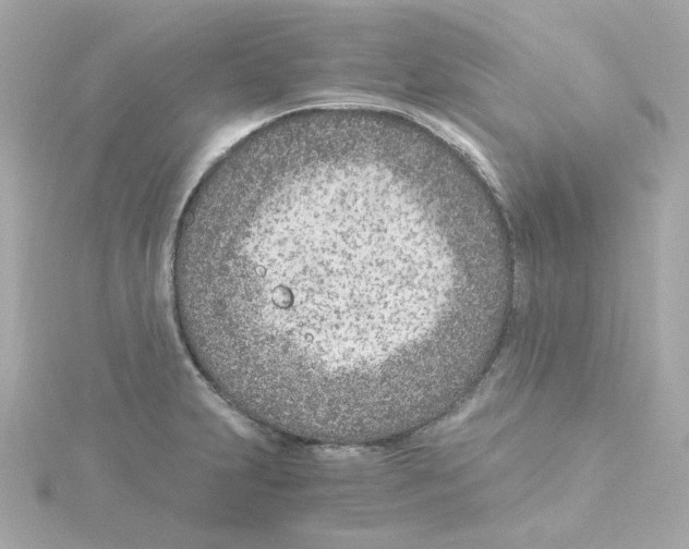 X0000115261231200911271919