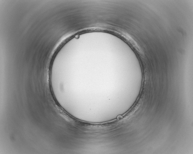 X0000115261232200911271919