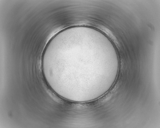 X0000115261234200911271919