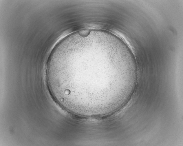 X0000115261235200911271919