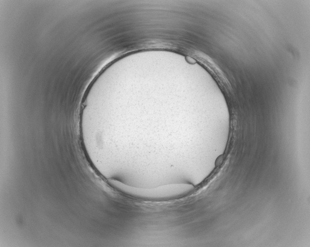 X0000115261236200911271919