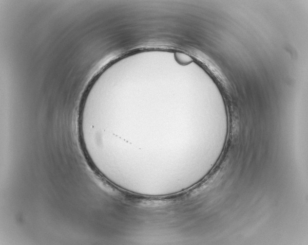 X0000115261237200911271919