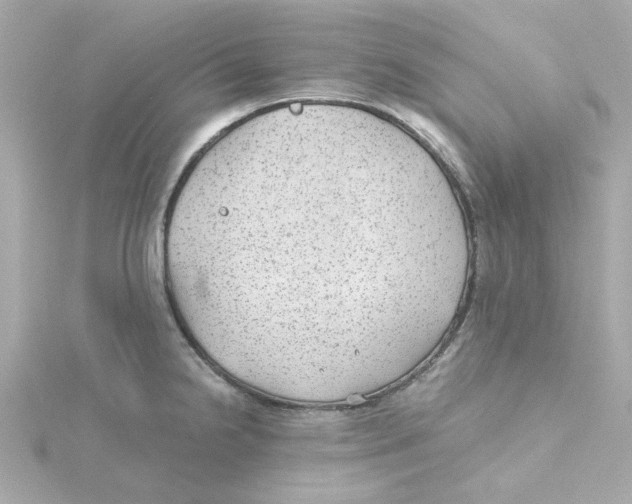 X0000115261238200911271919