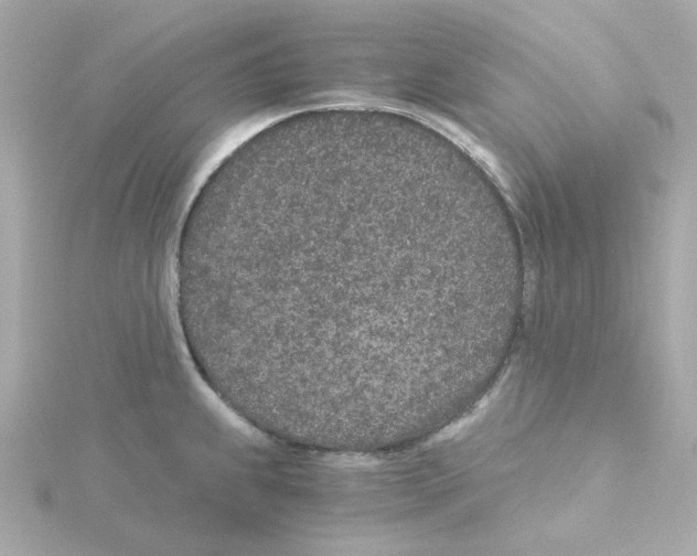 X0000115261239200911271919