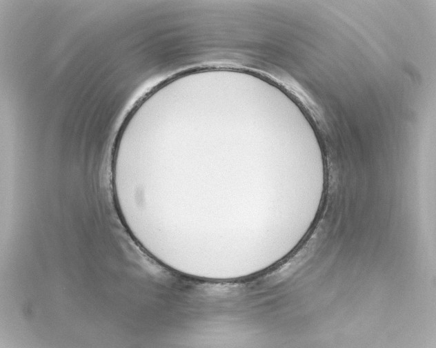 X0000115261240200911271919