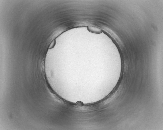 X0000115261241200911271919