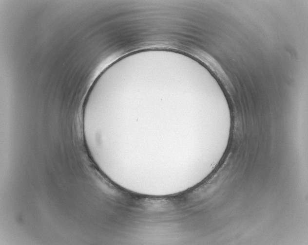 X0000115261242200911271919