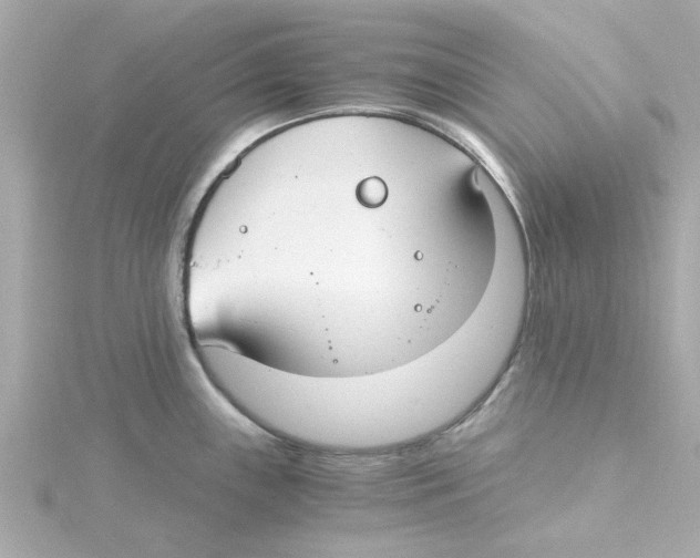 X0000115261243200911271919