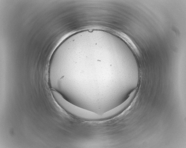 X0000115261244200911271919