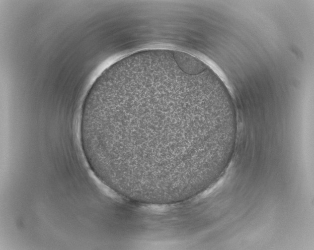 X0000115261245200911271919