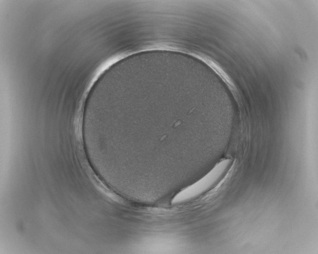 X0000115261246200911271919