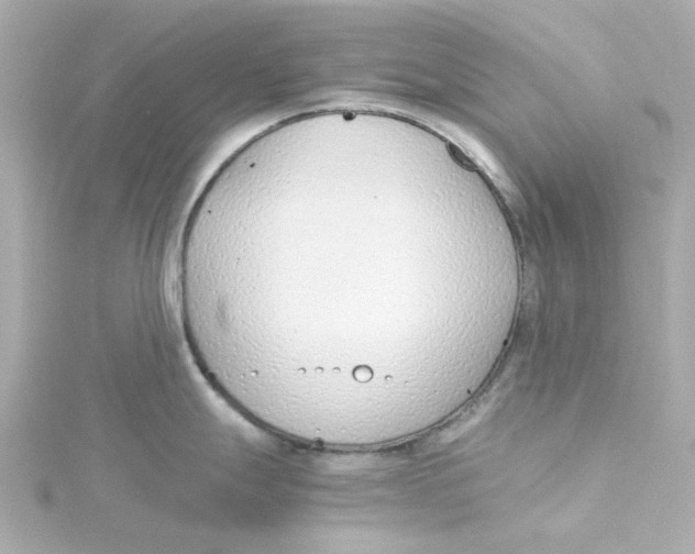 X0000115261247200911271919