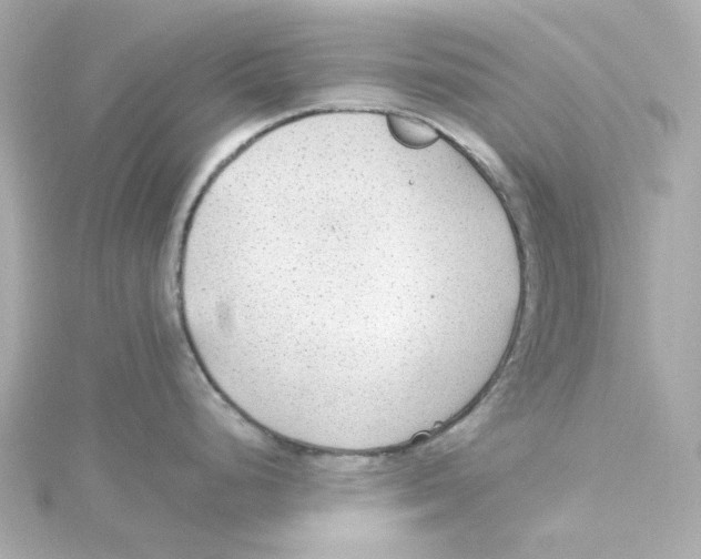 X0000115261248200911271919