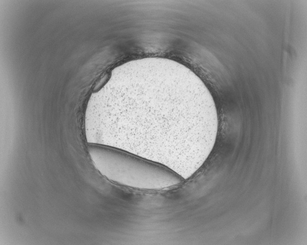 X0000115261249200911271919