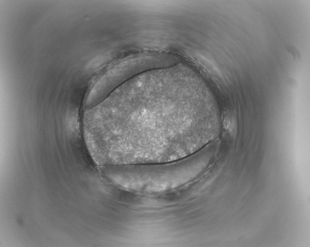 X0000115261252200911271918