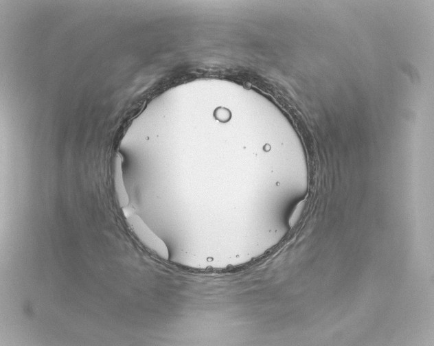 X0000115261253200911271918