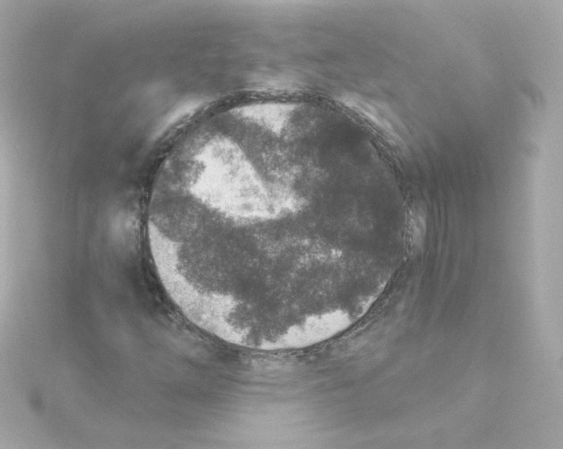 X0000115261254200911271918