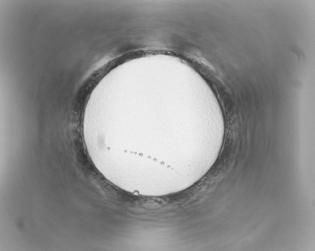 X0000115261255200911271918