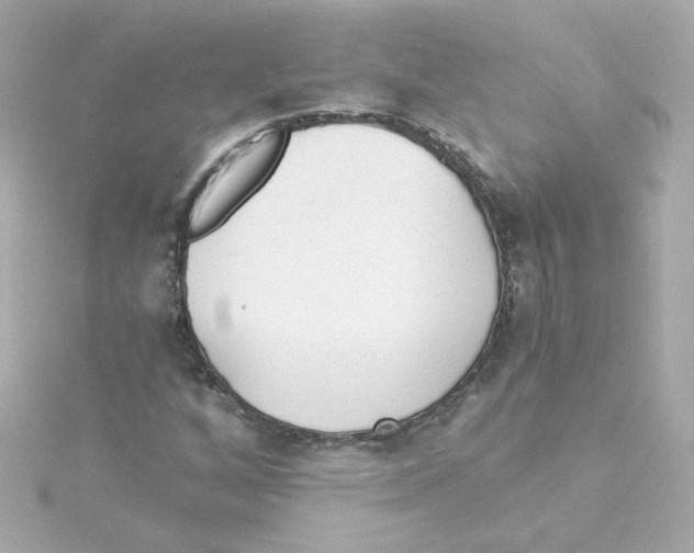 X0000115261256200911271918