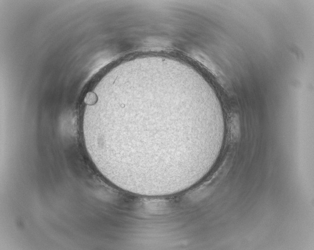 X0000115261258200911271918