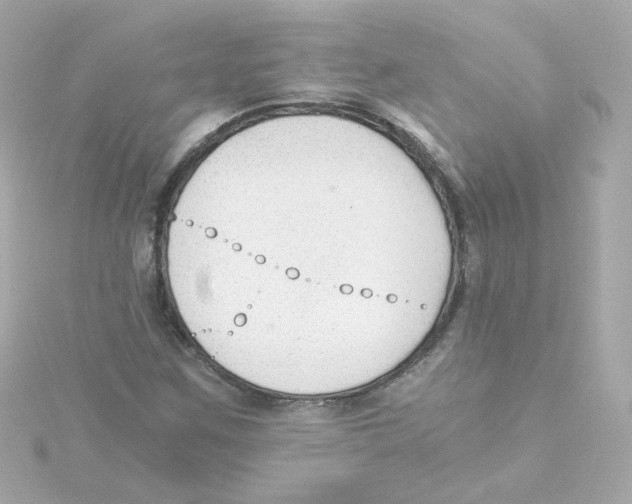 X0000115261259200911271918