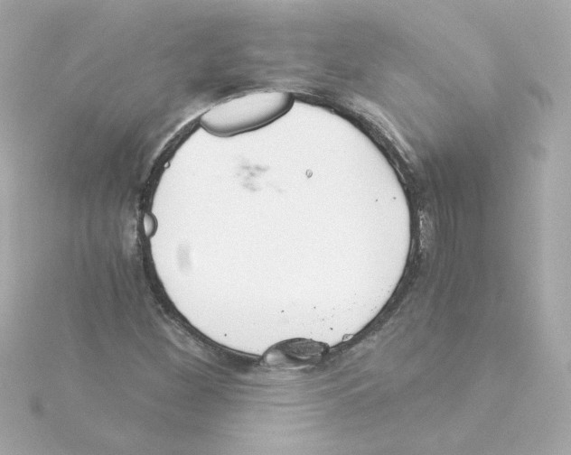 X0000115261260200911271918