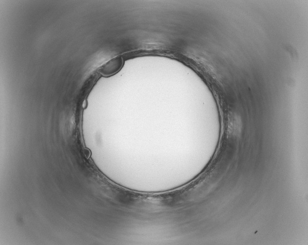 X0000115261261200911271918