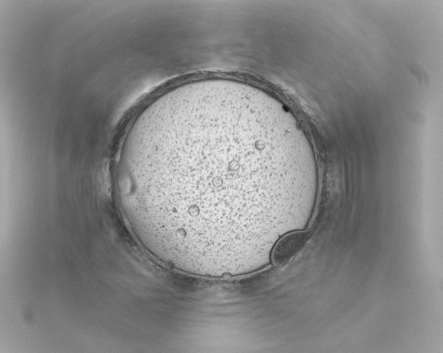 X0000115261262200911271918