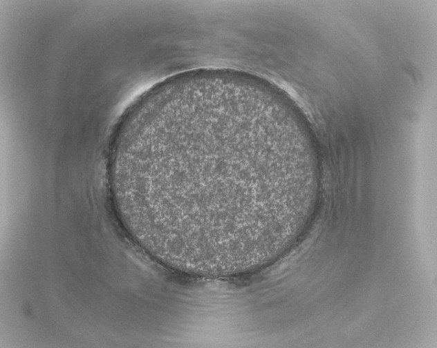 X0000115261263200911271918