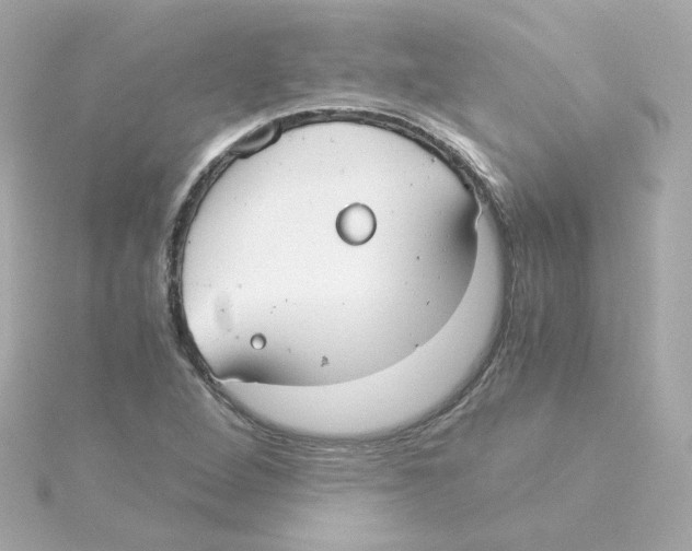 X0000115261264200911271918