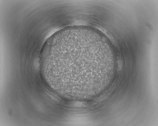 X0000115261266200911271918